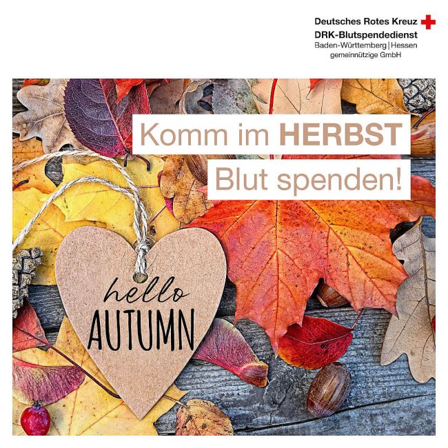 zu sehen sind bunte Herbstblätter, ein Schild Hello Autumn und ein Text Komm im Herbst Blut spenden!