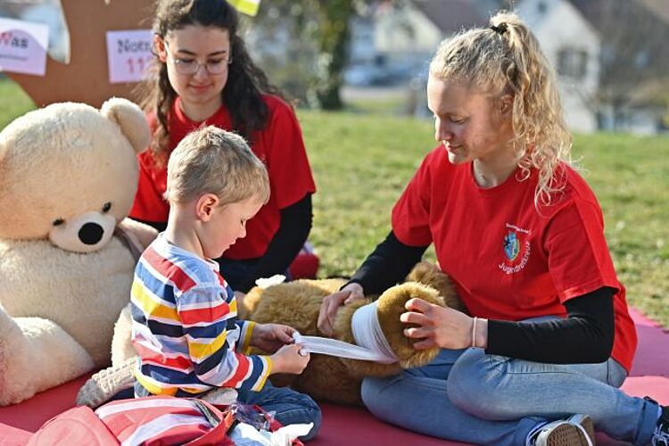 zu sehen ist das Jugendrotkreuz mit ihrem Bärenhospital beim Verbinden des Teddybär