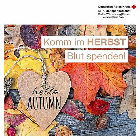 zu sehen sind bunte Herbstblätter, ein Schild Hello Autumn und ein Text Komm im Herbst Blut spenden!