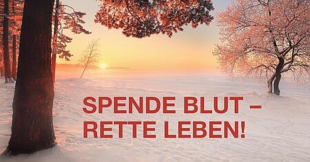 zu sehen ist eine Winterlandschaft im Sonnenlicht und ein Text Spende Blut - rette Leben!